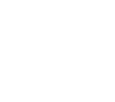 IBS Best in Show